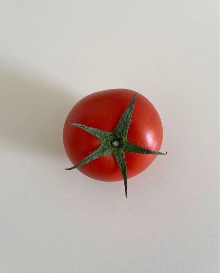 참가자 프로필